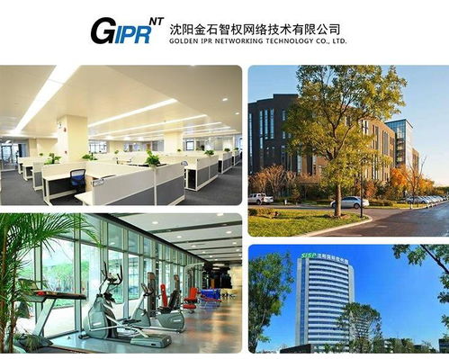 沈陽金石智權網絡技術 信息技術咨詢服務的行業引領者